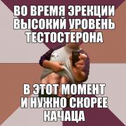 x_d2fbd3b6.jpg