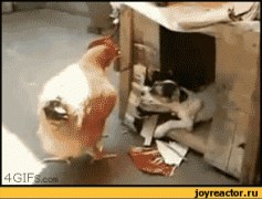 42e9b6be9194ea4ee7865a1d871.gif