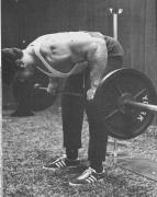 lf754.jpg