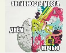 yumora-nemnogo-kartinki-smeshnye-kartinki-fotoprikoly_9646137651.jpg