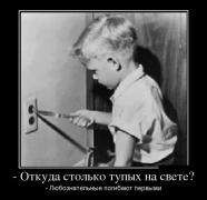 0_c0a21_7428299d_orig.jpg