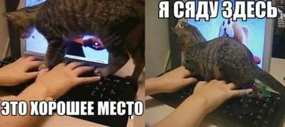 0_c0a3c_371c9ce4_orig.jpg