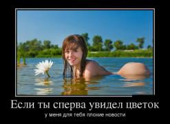0_c1c4f_8fc60439_orig.jpg