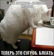 0_c30b9_edb1d08f_orig.jpg