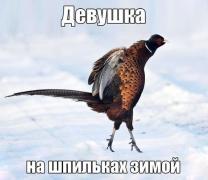 post-2-1383747870.jpg