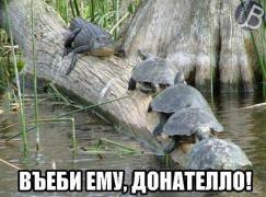 череп.jpg
