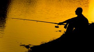 0_96391_4f69bdd6_orig.jpg