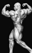 RonnieColeman-MD-Nov13-PerBernal-195.jpg