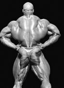 RonnieColeman-MD-Nov13-PerBernal-194.jpg