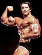 ArnoldSchwarzenegger-MD-Dec13-JimmyCaruso-298.jpg