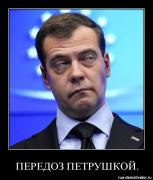 1311233423_peredoz-petrushkoy.jpg