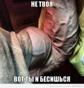 x4cDl2y9ByE.jpg