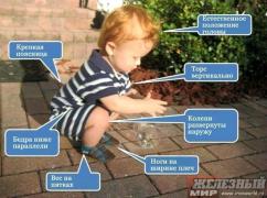 бэбисед.jpg