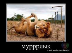 1731669eed9fd8a0990c04e4feef8015.jpg
