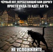0_118992_6968dbf4_orig.jpg