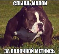 0_119b82_7ac8b5f7_orig.jpg