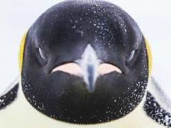0_11898a_1ce4fdf5_orig.jpg