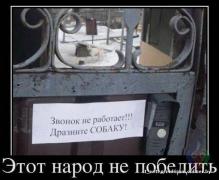 44f6ade11ad5482862d7f5e6c950442f.jpg