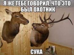 0_11a467_2065f6b6_orig.jpg