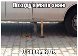 Снимок экрана 2014-11-18 в 15.35.19.png
