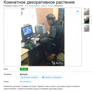 1415239728_1463880803.png