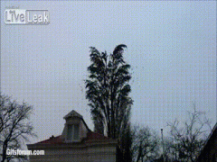 1416455190_577622618.gif