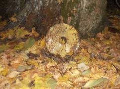 DSCF9419.JPG