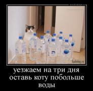 1406606251_009.jpg