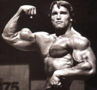 arnold_bicep.jpg