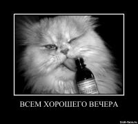 a1b17326a4a37d8cb32b3a71d73edcad.jpg