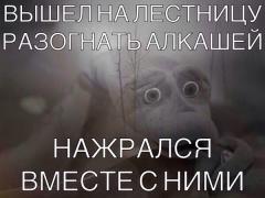 LuY7qgSK6mM.jpg
