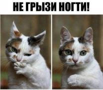 N9BYRUSC2Yk.jpg