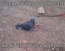 eUD3oA4LA5g.jpg
