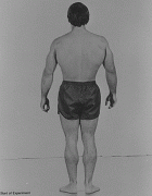 Прогресс за 20 дней.gif