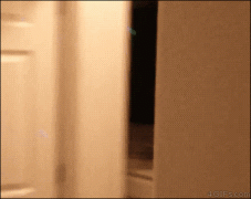 1447108154_gifs_21.gif