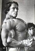Arnold5.jpg