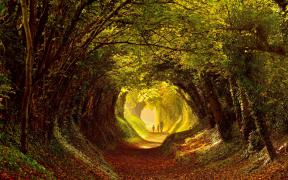 potd-walk_3491388k.jpg