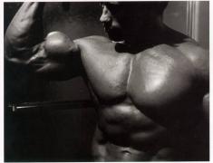 Arnold-00.jpg