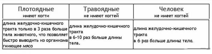 сравнение - копия (2).jpg