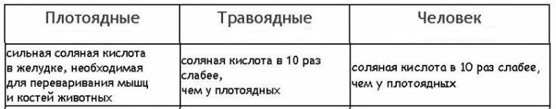 сравнение - копия.jpg