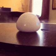 1479035401148367986.gif