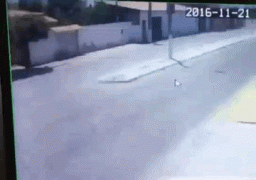 1480499780276552712 (1).gif