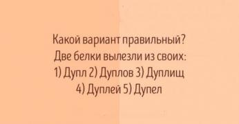 1479673385121482189.jpg
