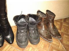 IMG_2016-11-27_013235.jpg