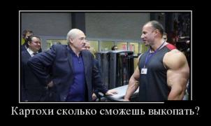1447865822_demotivatory_01.jpg
