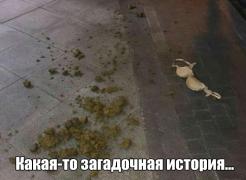 1477350453_foto-prikoly-49.jpg
