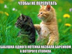 1478565643_foto-prikoly-36.jpg