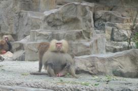 DSC_0841.JPG