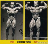 dorian_yates_168_1990_1991-1.jpg