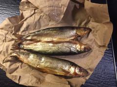 IMG_0904.jpg